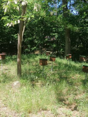 PHOTO-2025-06-13-09-03-12