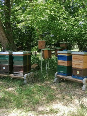 PHOTO-2025-06-13-09-03-12